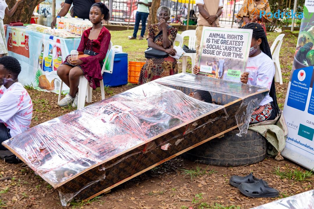 WhatsApp Image 2025-07-31 at 12.41.55 (1)