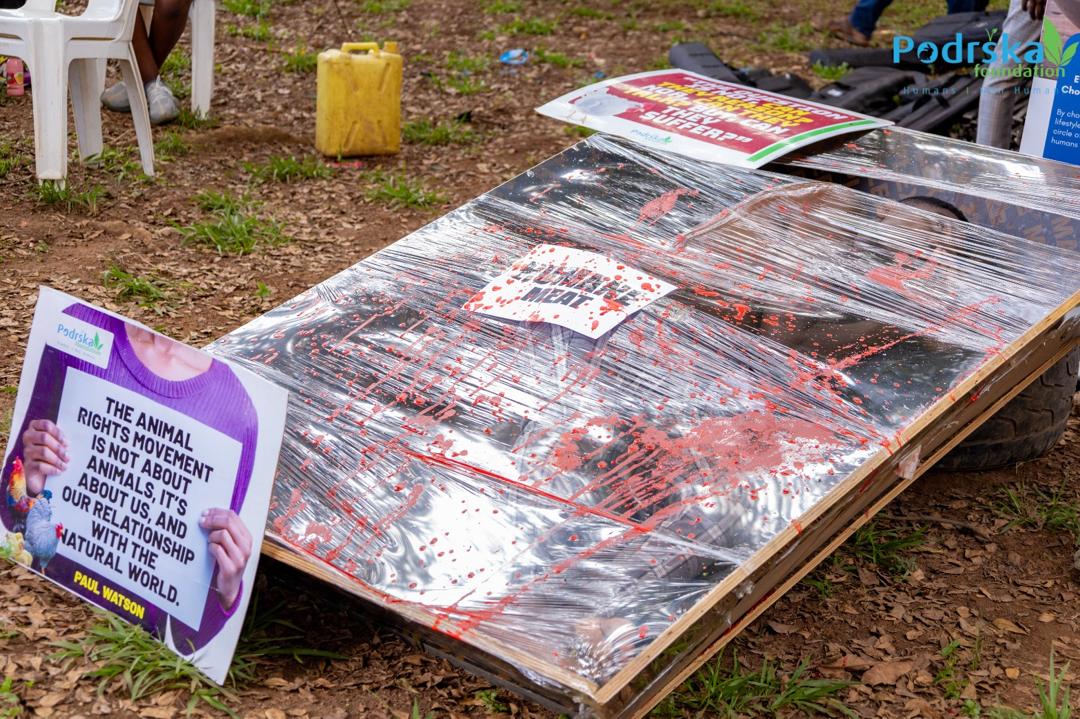 WhatsApp Image 2025-07-31 at 12.41.55