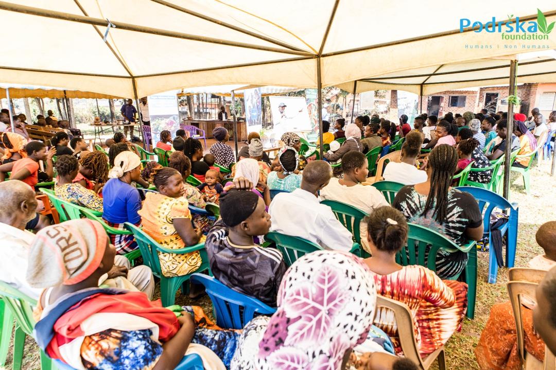 WhatsApp Image 2025-07-31 at 12.44.36