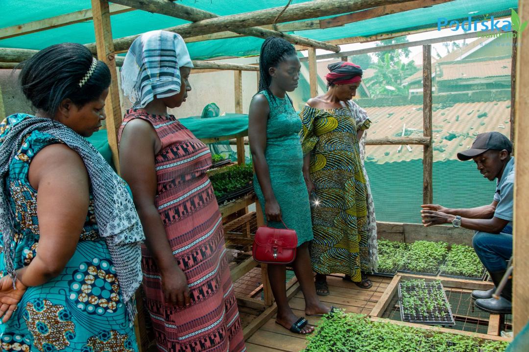 WhatsApp Image 2025-07-31 at 13.07.57 (1)