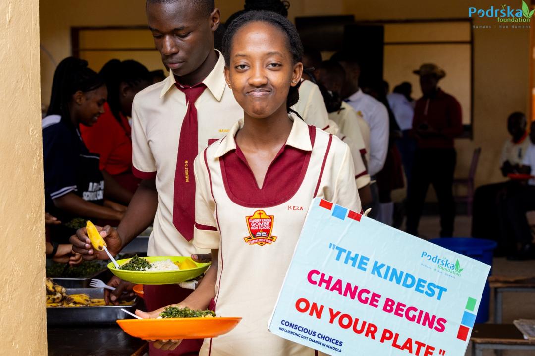 WhatsApp Image 2025-07-31 at 13.12.33 (1)